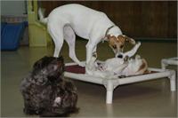 daycare pic 137